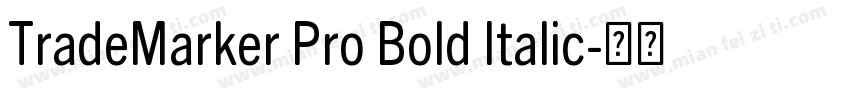 TradeMarker Pro Bold Italic字体转换